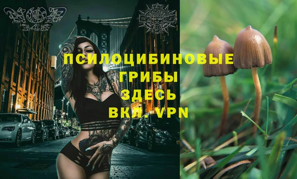 MDMA Premium VHQ Бронницы