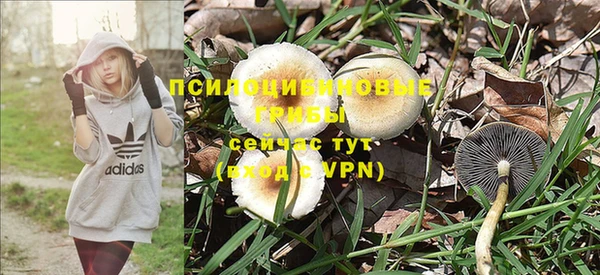 марки lsd Бугульма