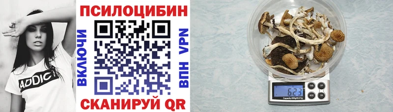 Галлюциногенные грибы Psilocybine cubensis  Данков 